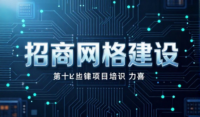 对比两种建站路径,决策者如何在效率与体验间找准平衡
